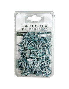 Chiodi per tegola canadese: zincati 3,0x20 confezione da 200 pezzi