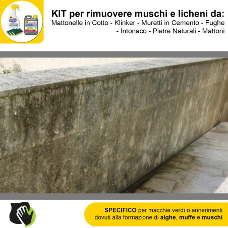 Algaenet 500ml + Hydrorep Eco 1lt + Spugne Abrasive per rimuovere Muschi e Licheni