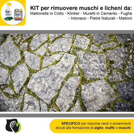 Algaenet 500ml + Hydrorep Eco 1lt + Spugne Abrasive per rimuovere Muschi e Licheni